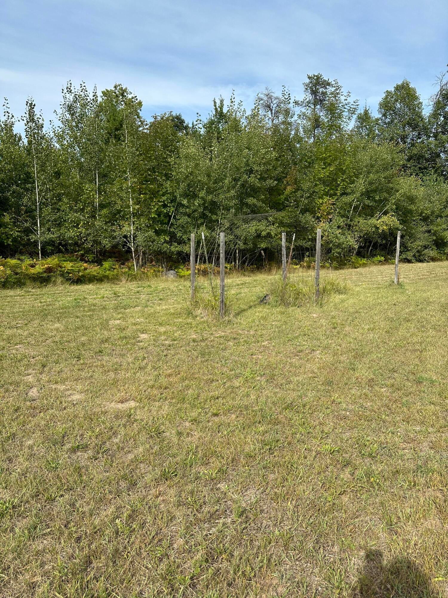 8590-8570 Spruce Road Ossineke, MI 49766 - Photo 48 of 49 Gallery Image 48