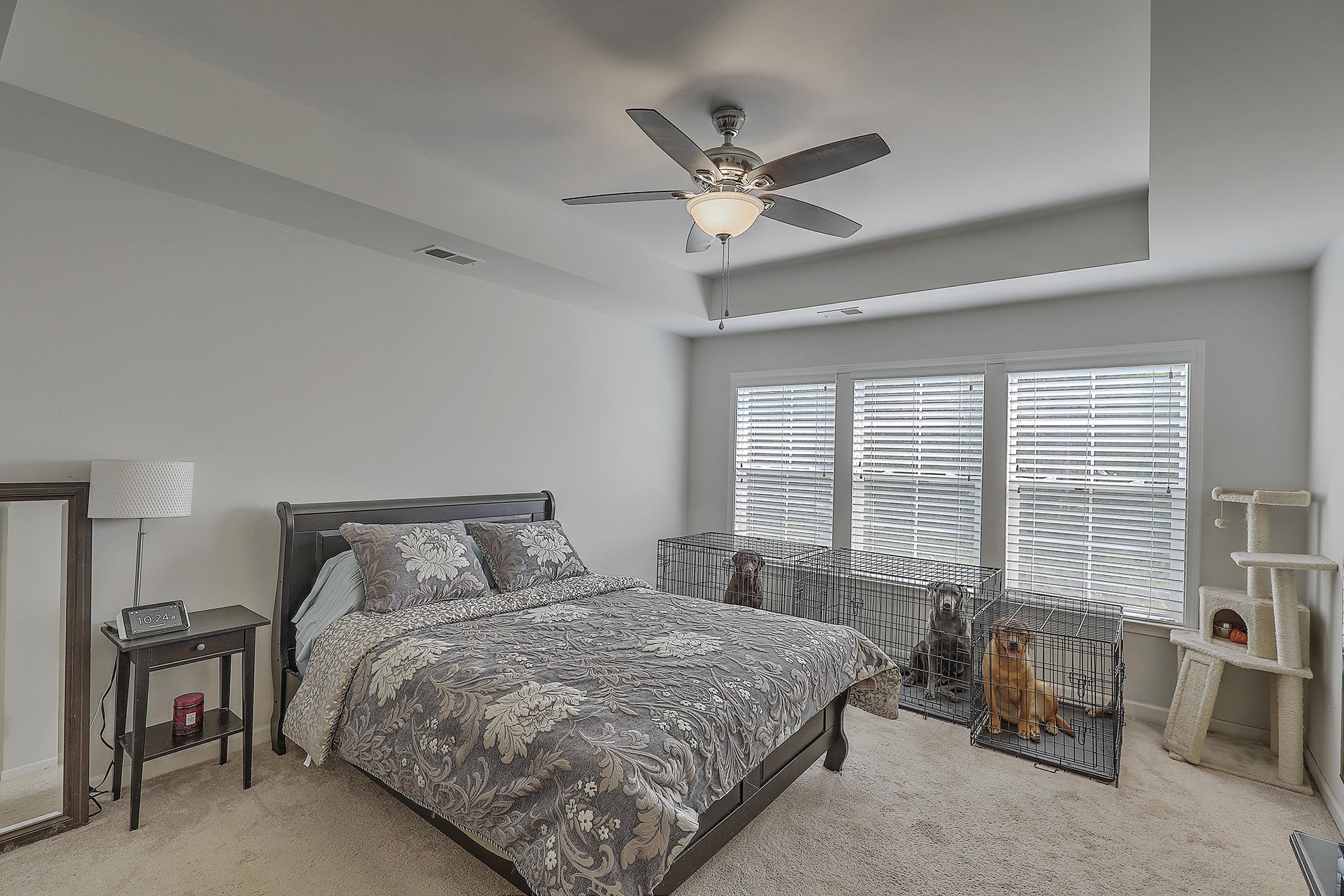 4060 Exploration Road Ladson, SC 29456 - Photo 15 of 22 Master Bedroom w/ tray ceilings