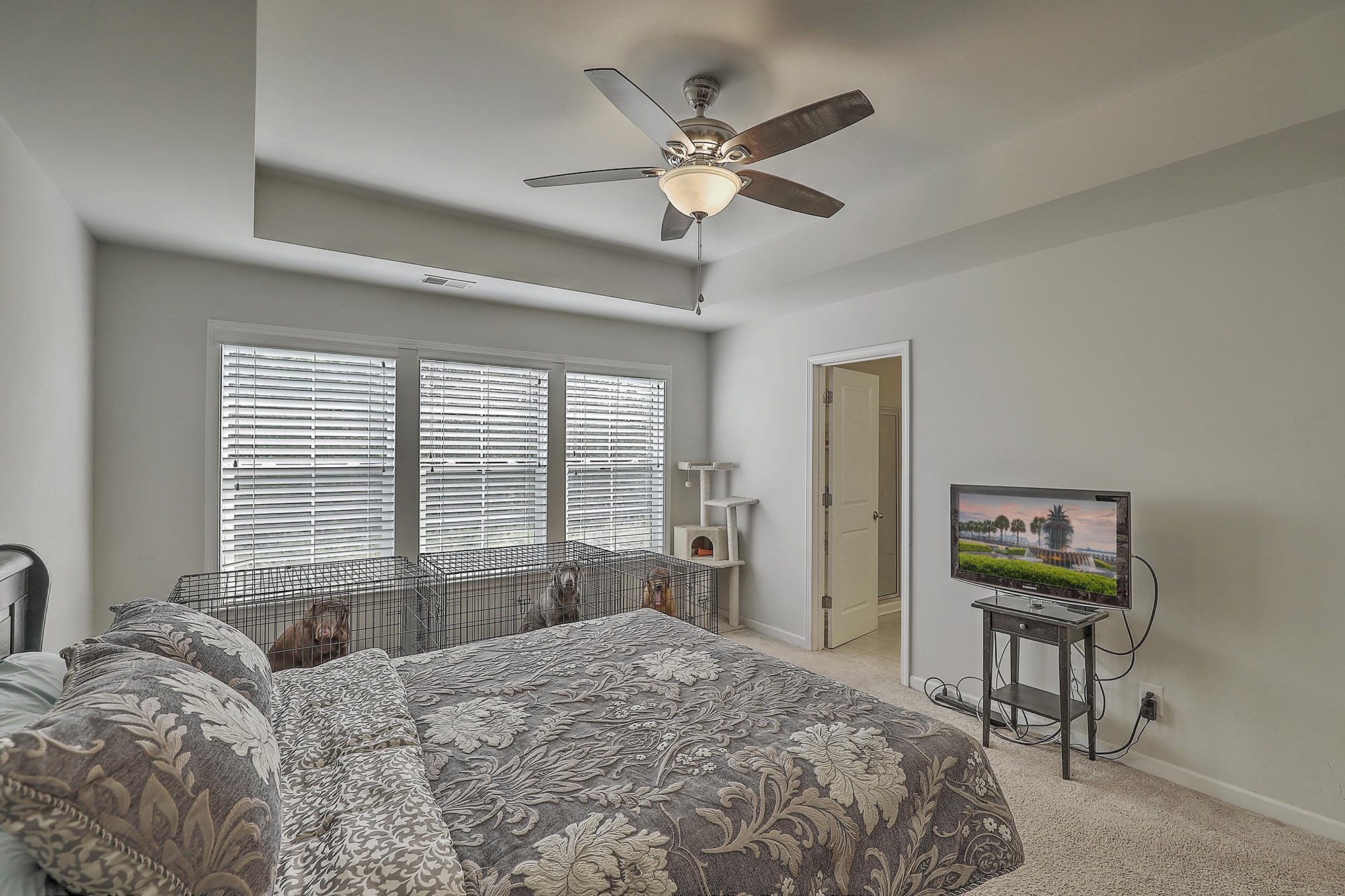 4060 Exploration Road Ladson, SC 29456 - Photo 17 of 22 Master Bedroom w/ lot of windows