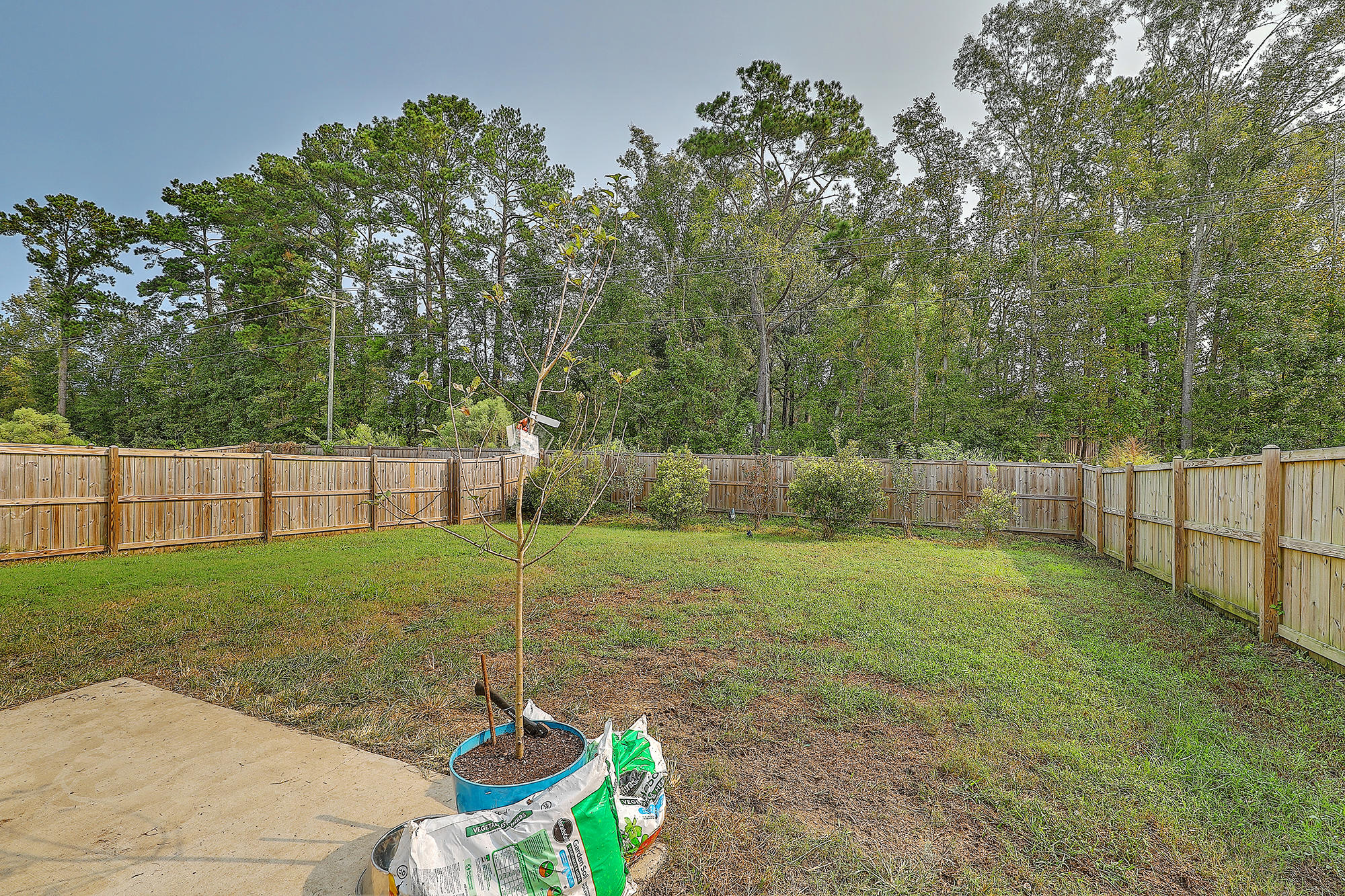 4060 Exploration Road Ladson, SC 29456 - Photo 22 of 22 Back yard wood view