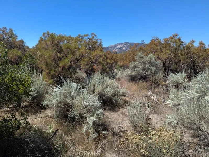 0 Pony Anza, CA 92539 - Photo 18 of 23