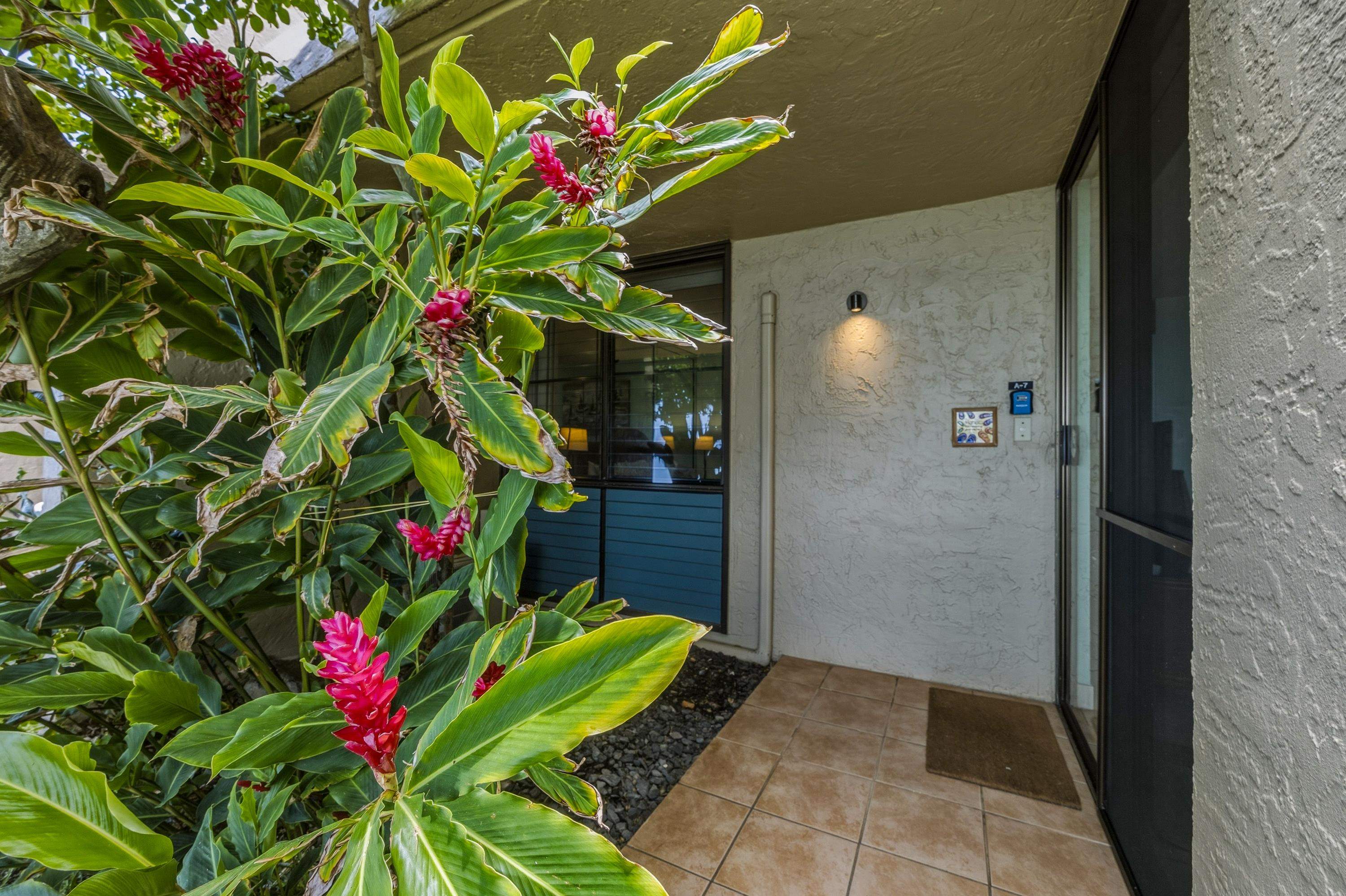 5295 Lower Honoapiilani Road, Unit A7 Lahaina, HI 96761 - Photo 12 of 43 Gallery Image 12