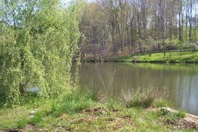 351 Kelly Road Corbin, KY 40701 - Photo 8 of 9 Photo 8