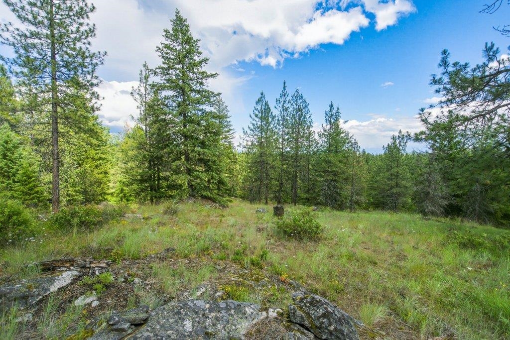 1301 Veit Road Newport, WA 99156 - Photo 26 of 33