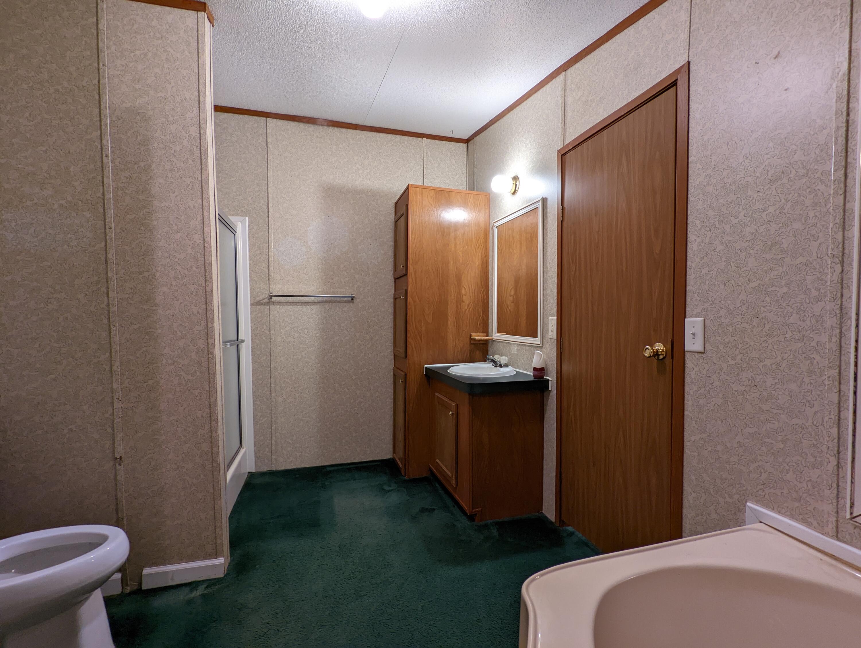 8794 Candies Creek Ridge Road Charleston, TN 37310 - Photo 14 of 24 master bath 2