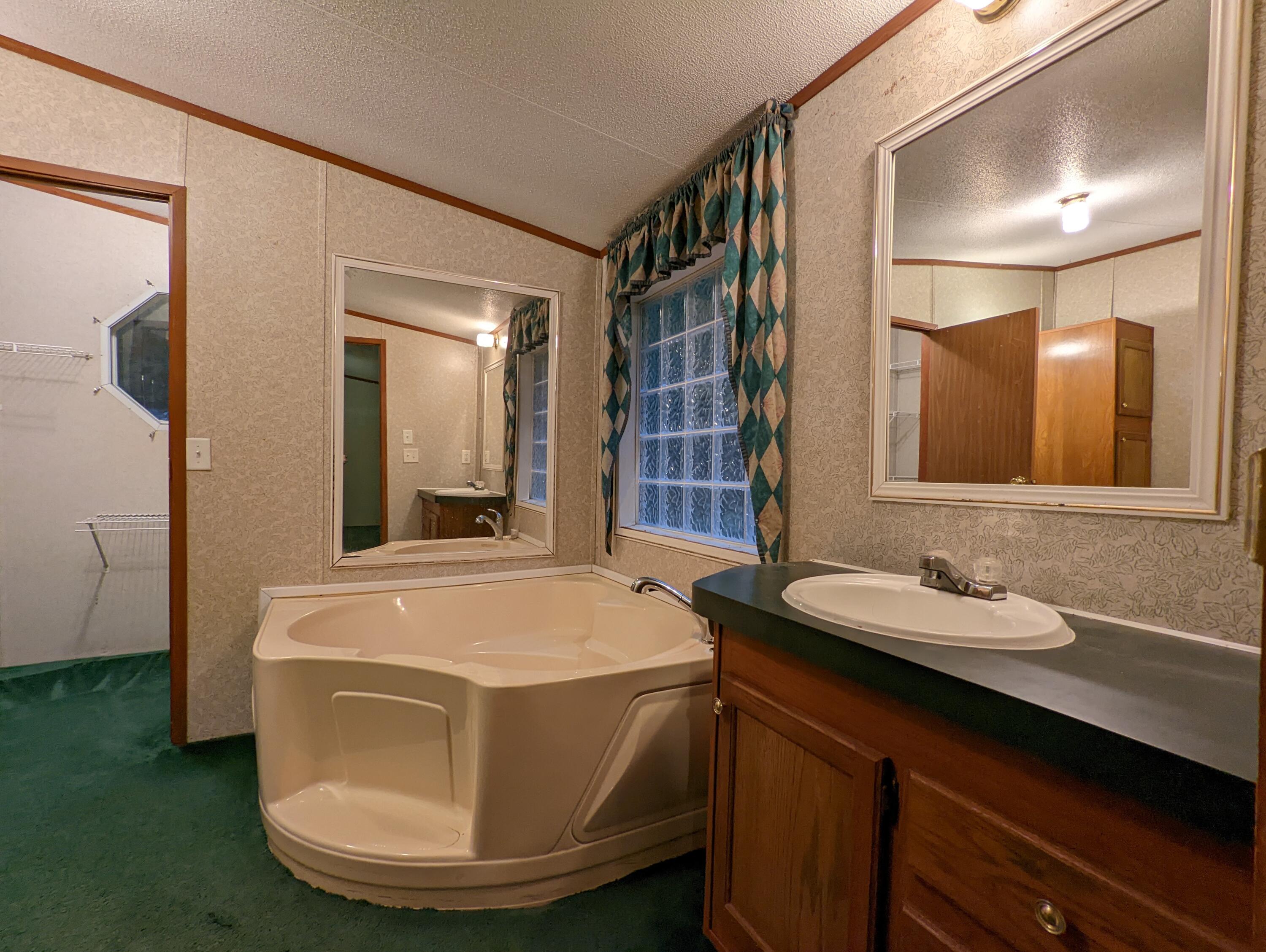 8794 Candies Creek Ridge Road Charleston, TN 37310 - Photo 16 of 24 master bath