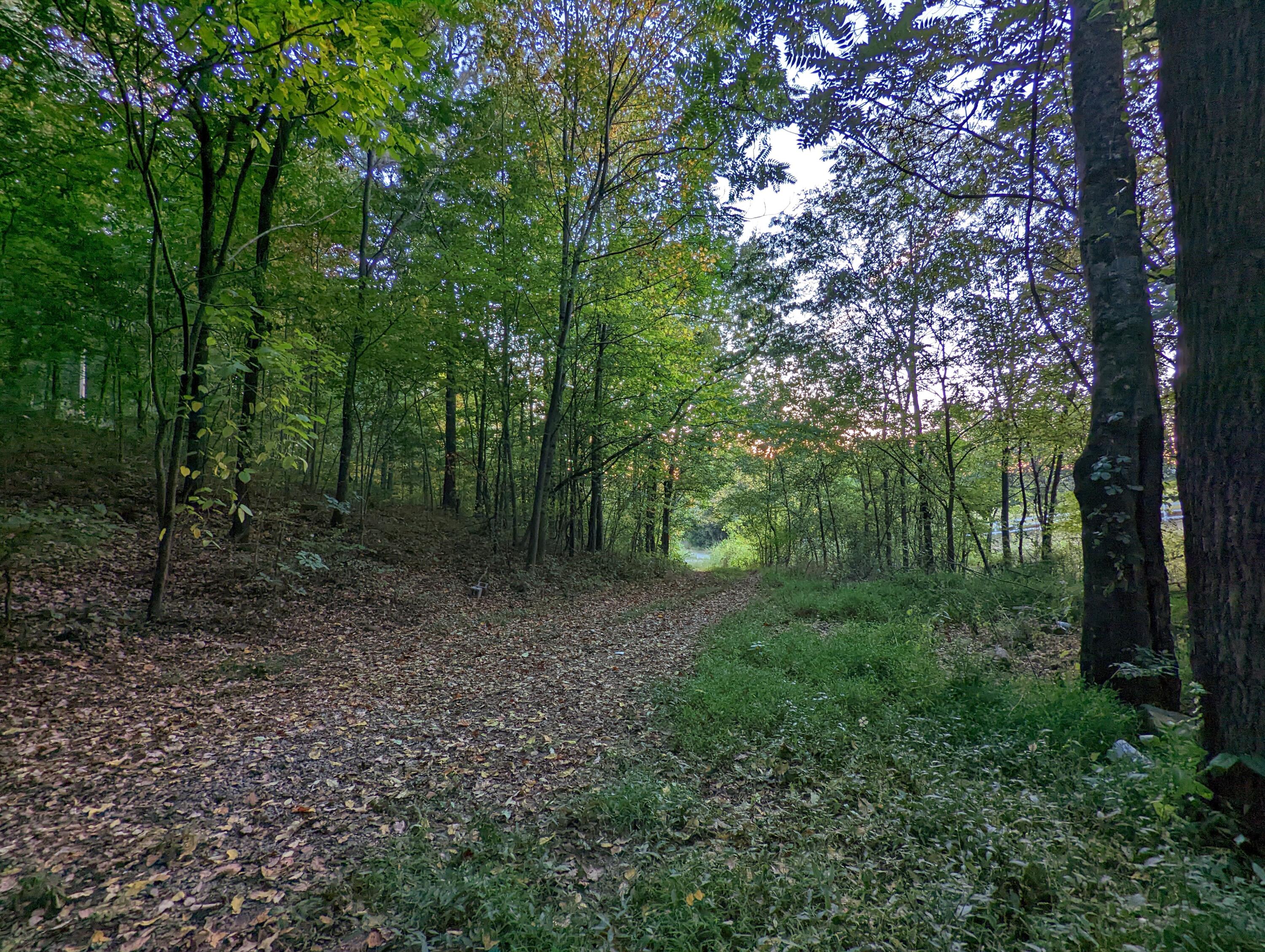 8794 Candies Creek Ridge Road Charleston, TN 37310 - Photo 19 of 24 Driveway 2
