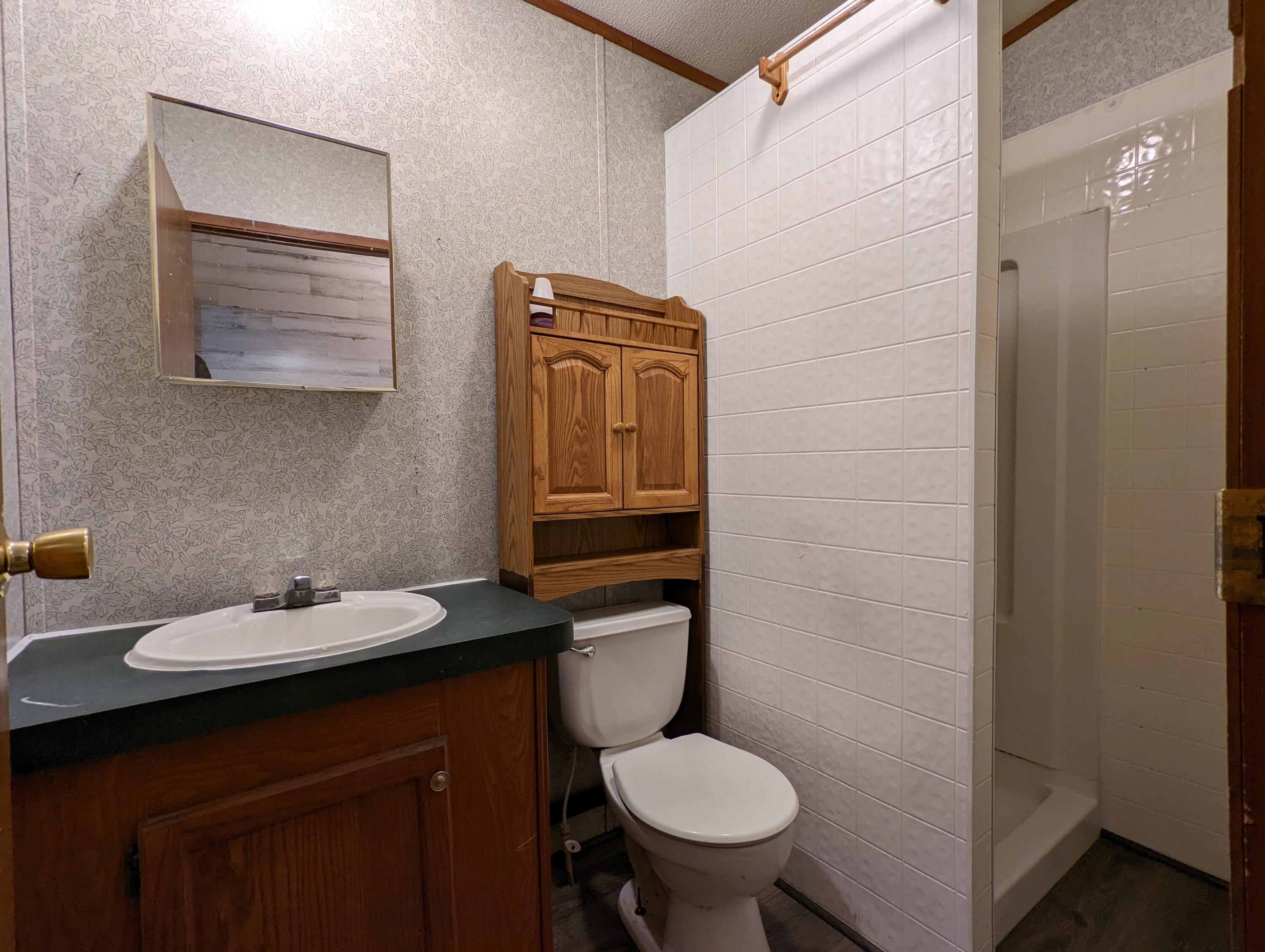 8794 Candies Creek Ridge Road Charleston, TN 37310 - Photo 6 of 24 hall bath
