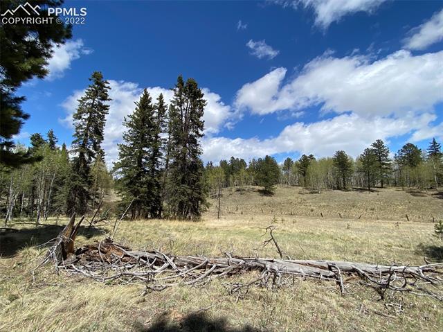255 Spruce Glen Road Divide, CO 80814 - Photo 9 of 9 Gallery Image 9