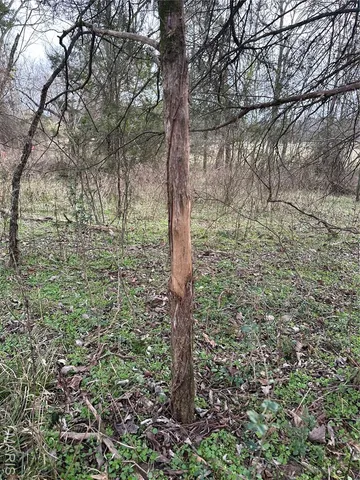 $799,900 | 6546 Highway 115, Datto, AR 72455