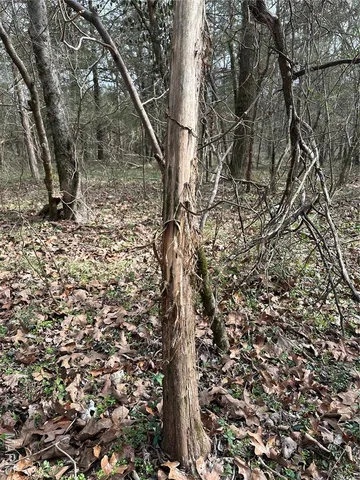 $799,900 | 6546 Highway 115, Datto, AR 72455