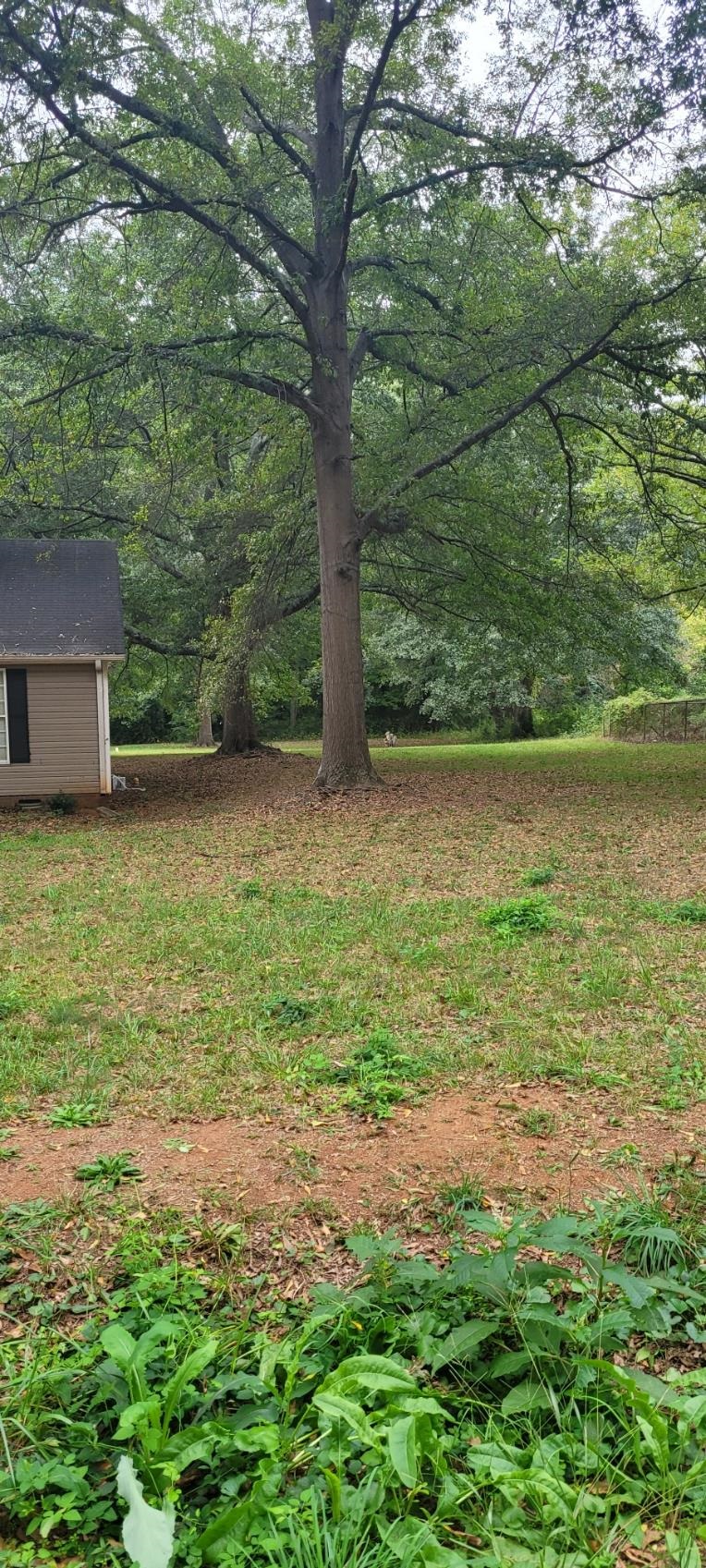 8265 Parrish Road Spartanburg, SC 29303 - Photo 16 of 19 Gallery Image 16