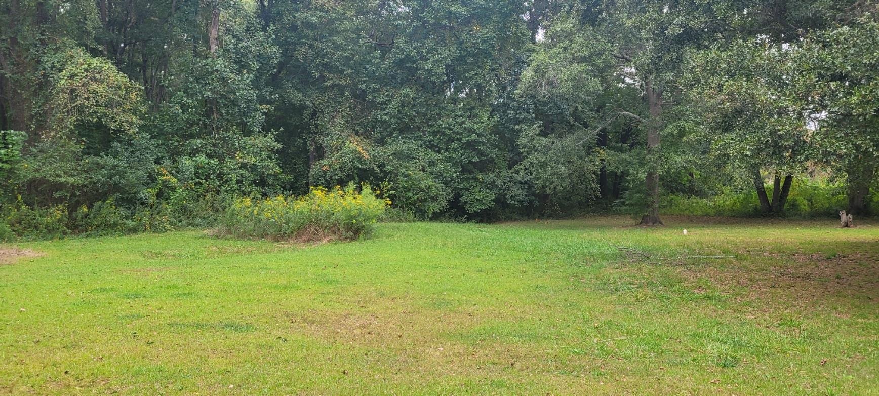 8265 Parrish Road Spartanburg, SC 29303 - Photo 18 of 19 Gallery Image 18