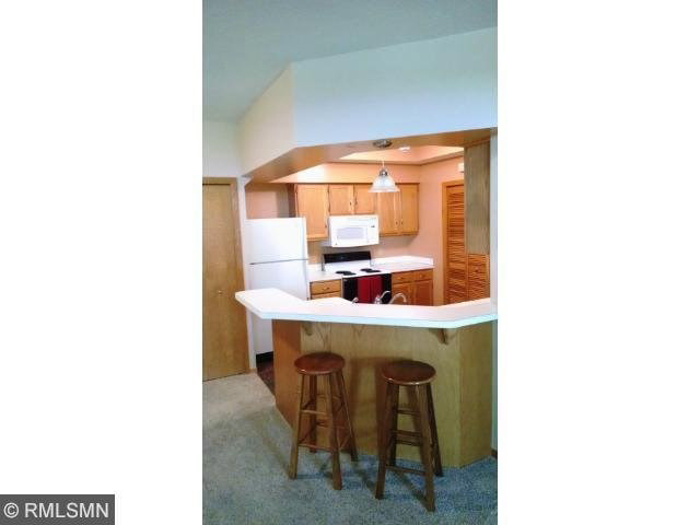 4148 Beaver Dam Road Eagan, MN 55122 - Photo 6 of 18