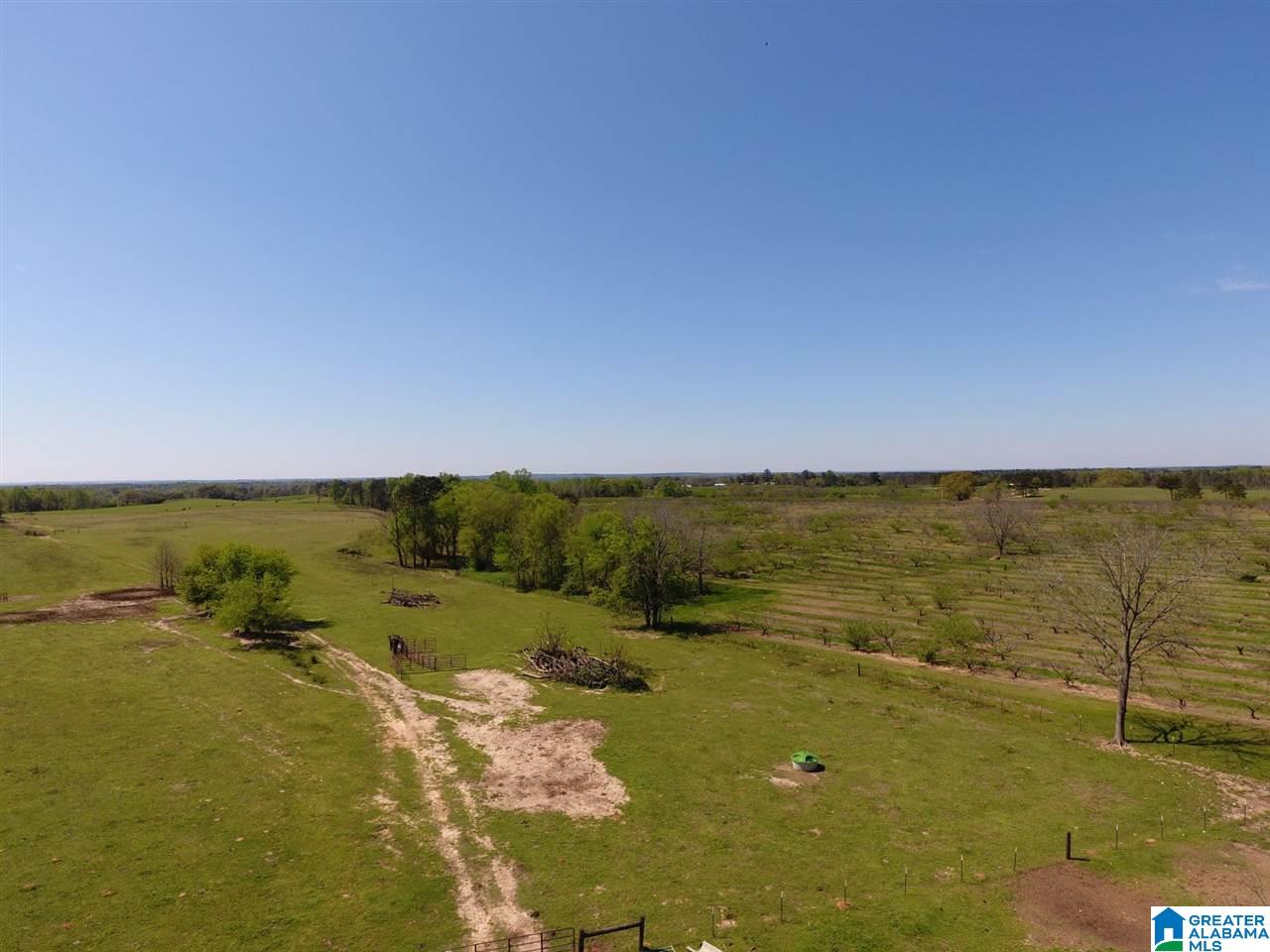 0 County Road 30, Unit 1 Clanton, AL 35045 - Photo 13 of 32
