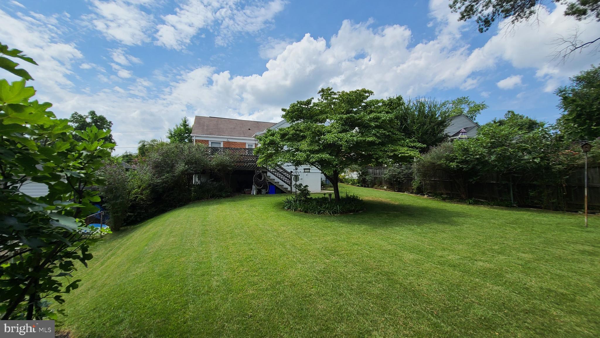 10803 Jewett Street Silver Spring, MD 20902 - Photo 46 of 46 Gallery Image 46