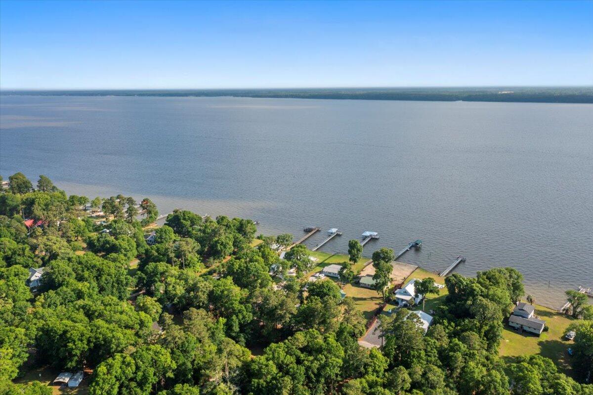 3426 Princess Pond Road Summerton, SC 29148 - Photo 86 of 95 101-DJI_0391