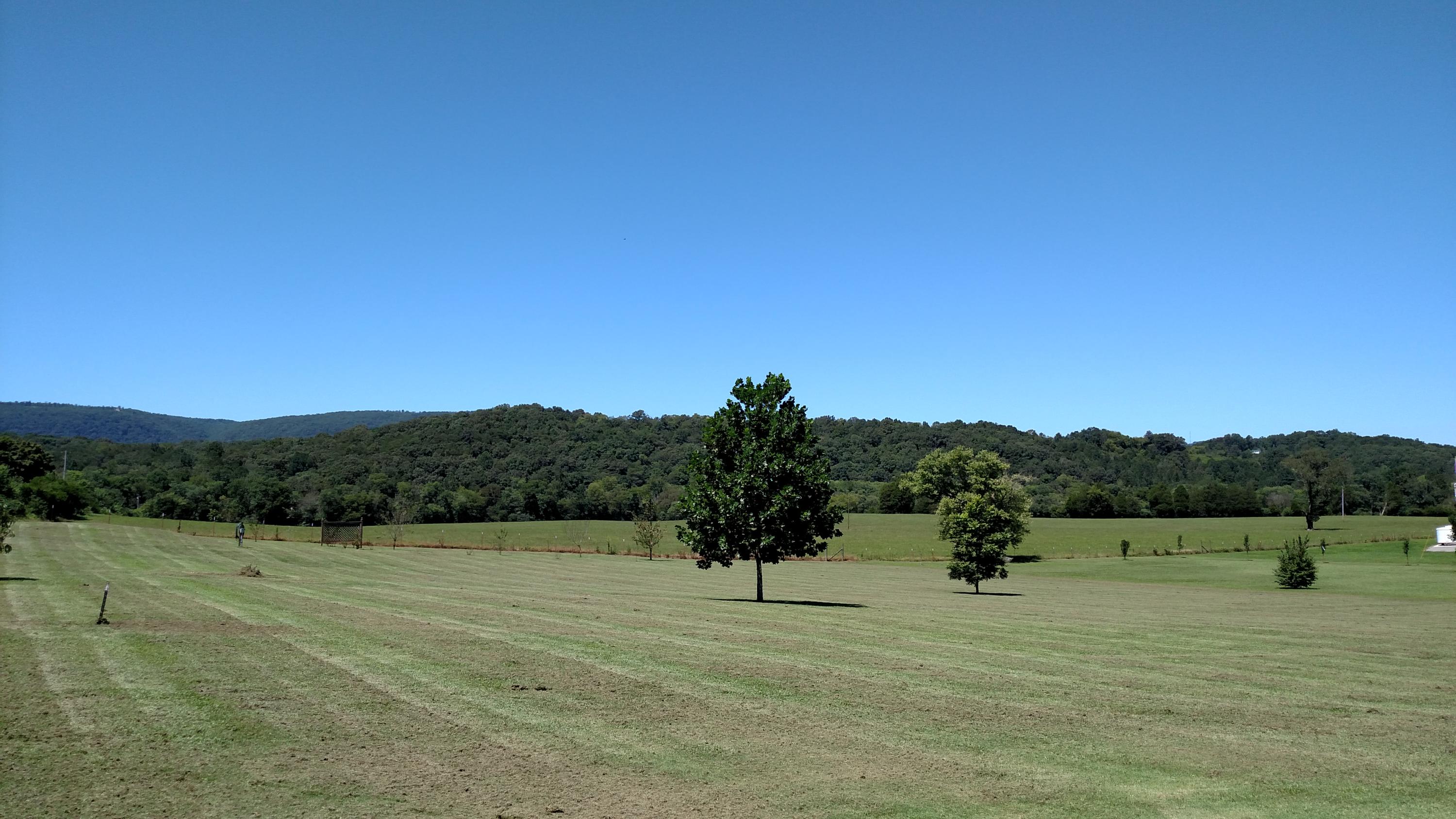 284 Herman Hickson Road Dunlap, TN 37327 - Photo 39 of 39 IMG_20150825_125912400