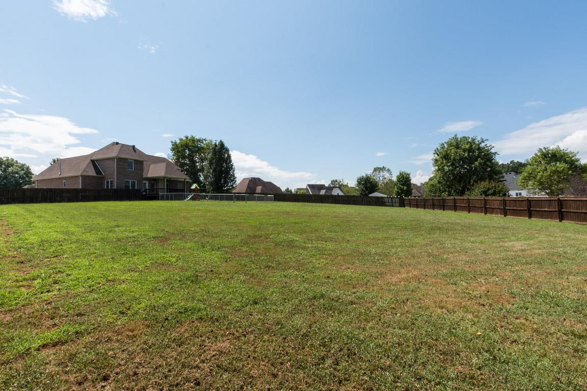 927 South Ridge Trail Clarksville, TN 37043 - Photo 29 of 30 This yard is HUGE and a must see!