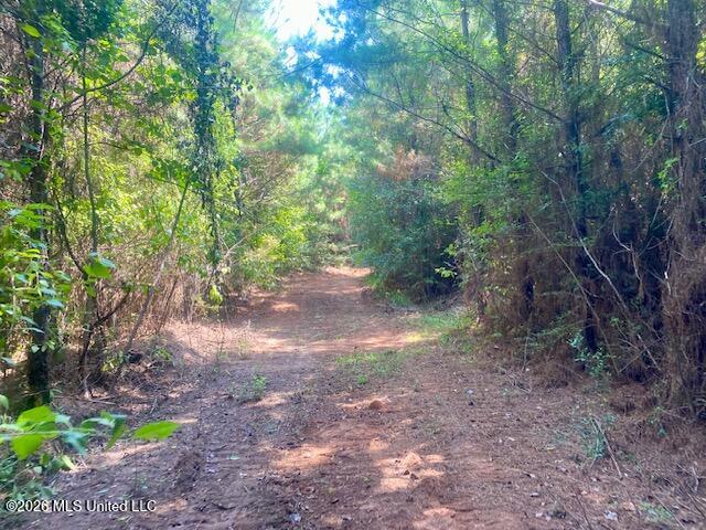 Archie Boyd Road Jayess, MS 39641 - Photo 24 of 27 IMG_6626