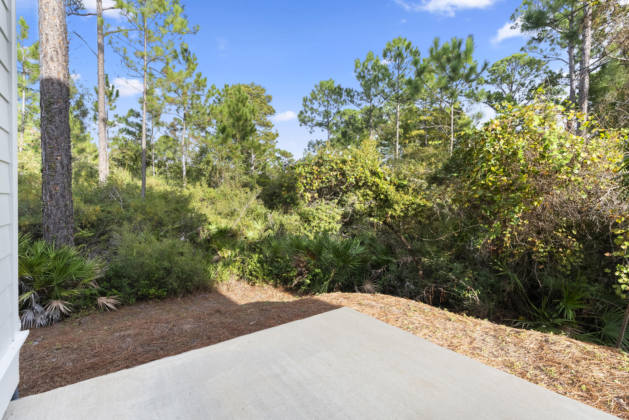 248 Euvino Way Santa Rosa Beach, FL 32459 - Photo 42 of 56 a view of a backyard of a house