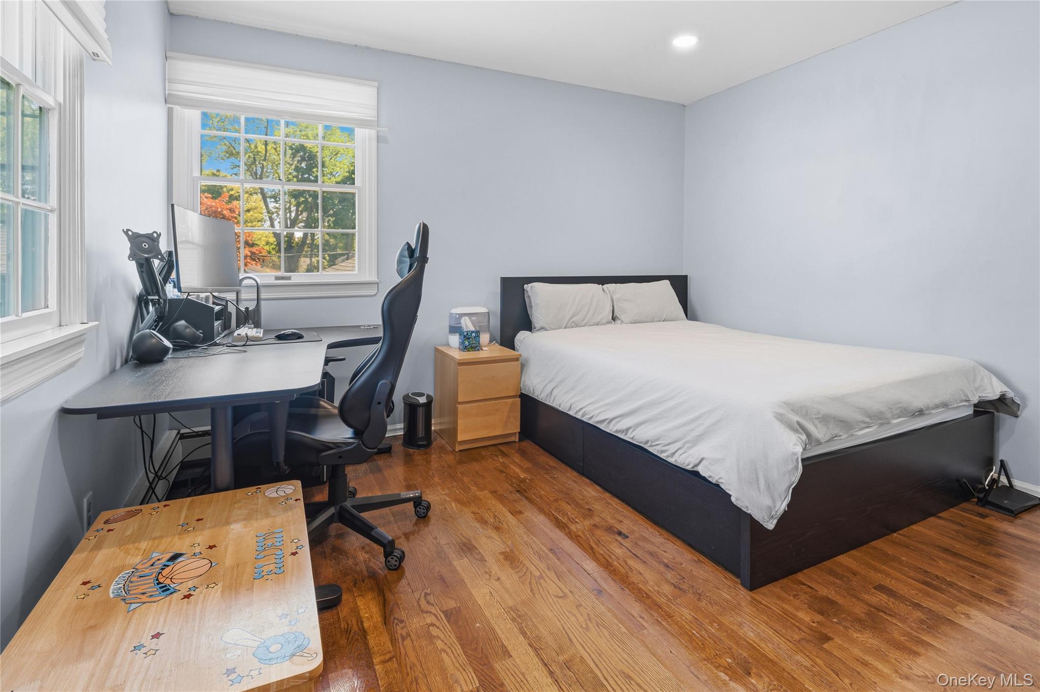 199 Split Rock Road Syosset, NY 11791 - Photo 25 of 49