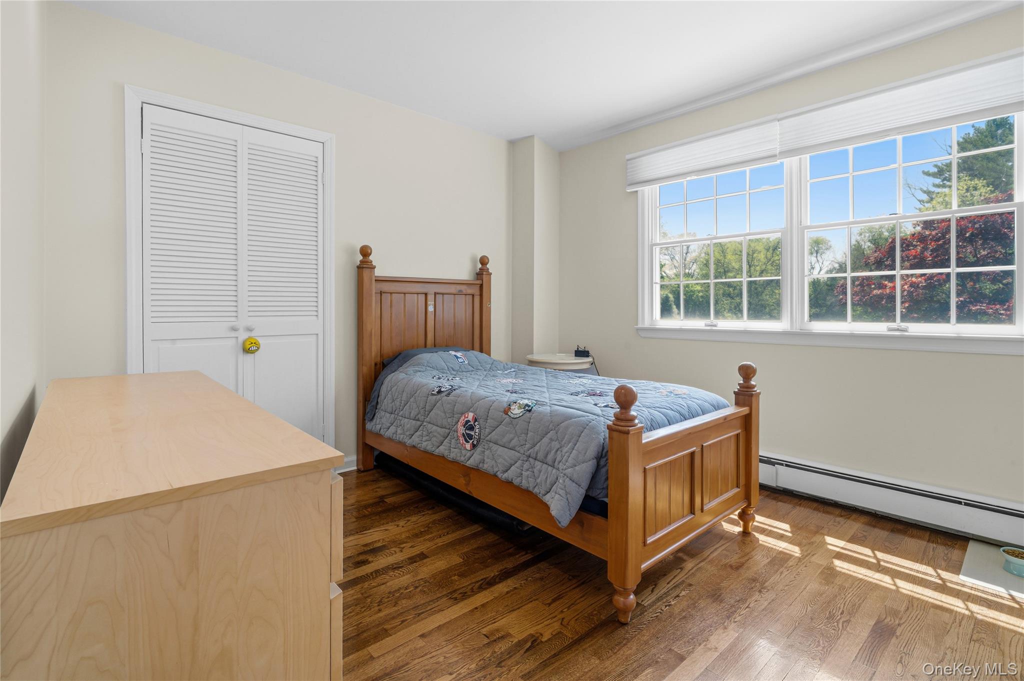199 Split Rock Road Syosset, NY 11791 - Photo 26 of 49