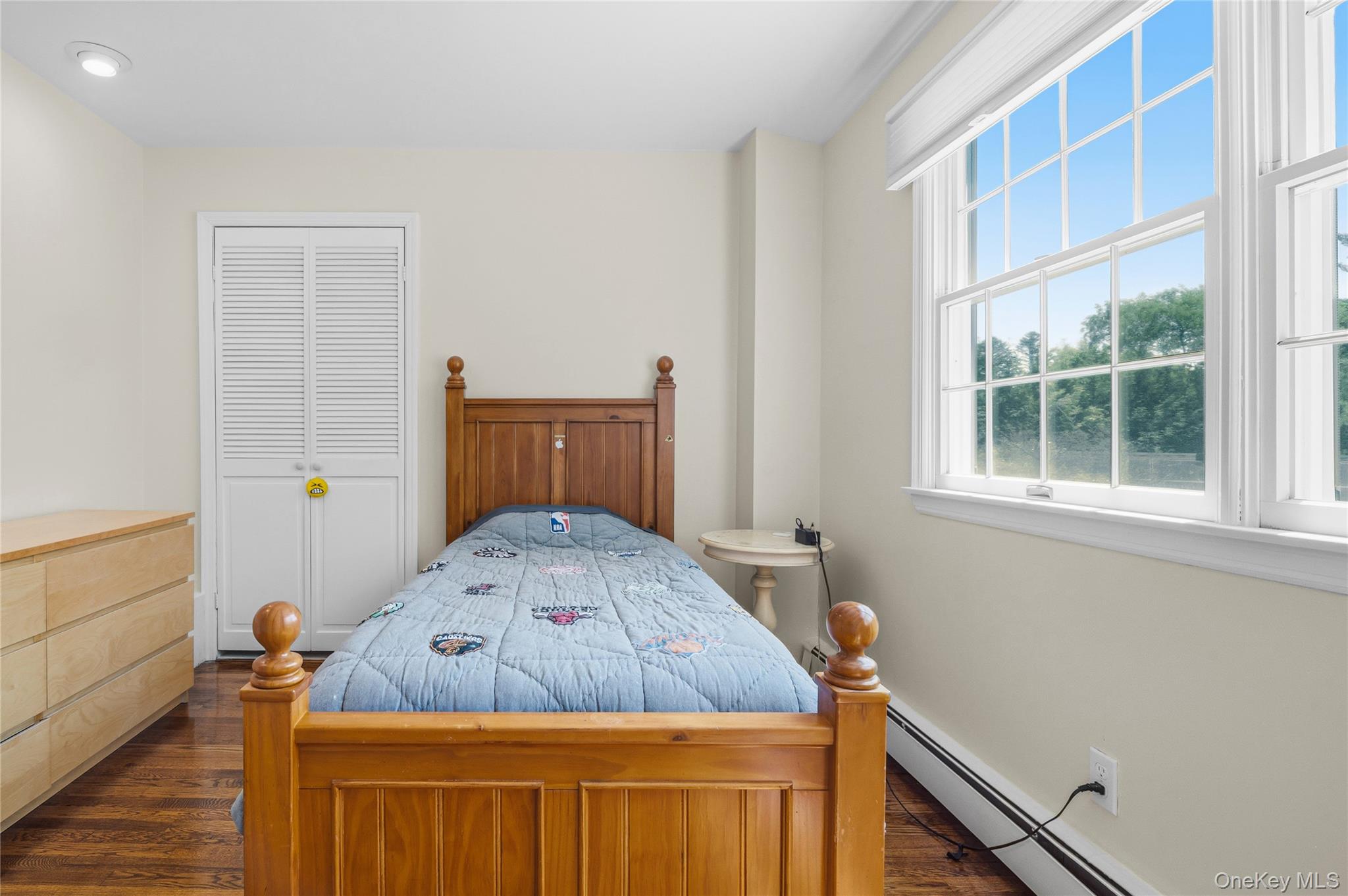 199 Split Rock Road Syosset, NY 11791 - Photo 27 of 49