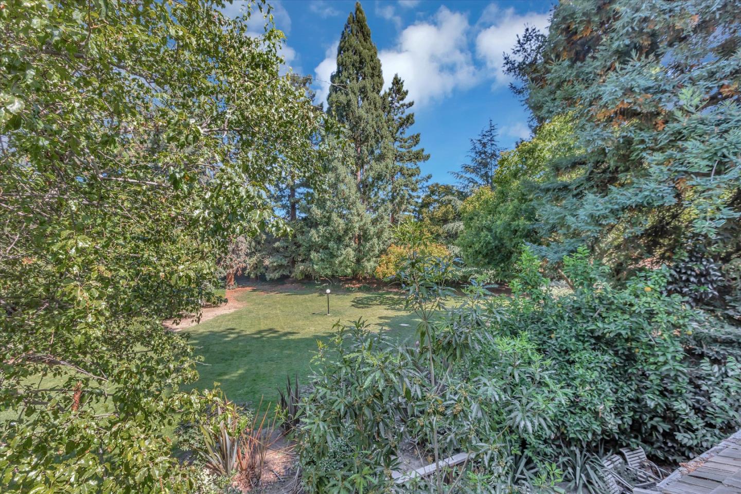 202 Central Avenue Mountain View, CA 94043 - Photo 36 of 39 a view of a yard with plants and a tree