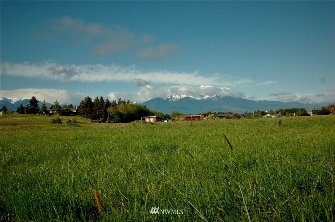 223 Nisbet Road Sequim, WA 98382 - Photo 2 of 13 a view of lake and green space