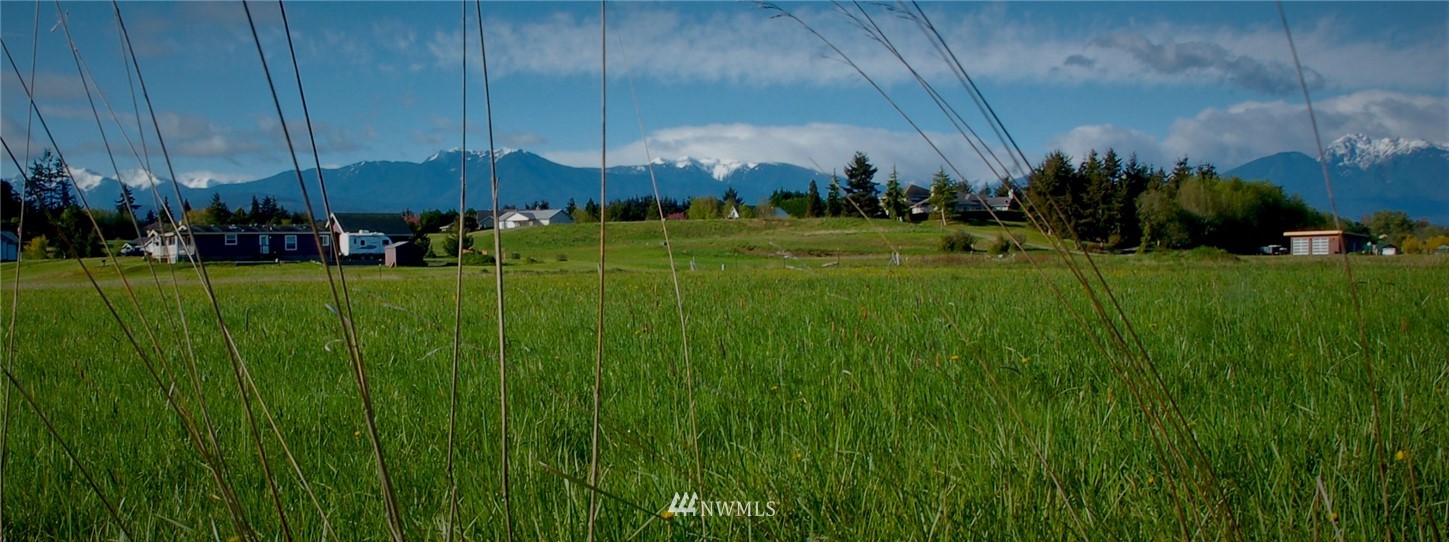 223 Nisbet Road Sequim, WA 98382 - Photo 3 of 13 a view of a golf course with a garden