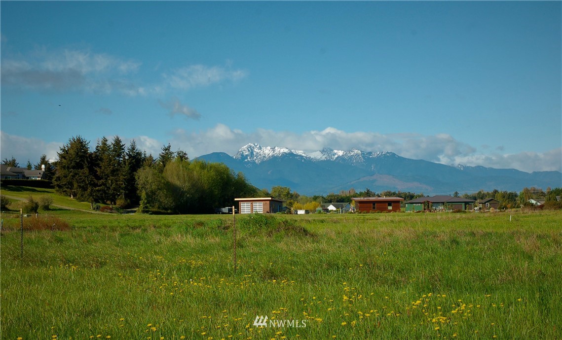 223 Nisbet Road Sequim, WA 98382 - Photo 4 of 13 a view of a town with residential houses