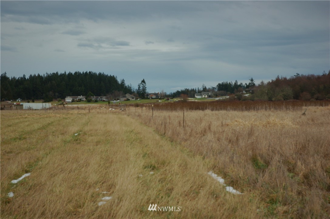 223 Nisbet Road Sequim, WA 98382 - Photo 9 of 13 a view of a lake with houses in the back
