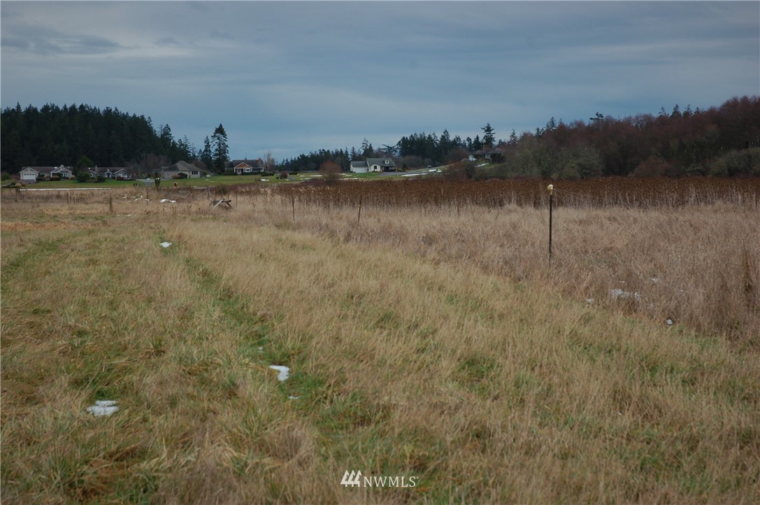 223 Nisbet Road Sequim, WA 98382 - Photo 10 of 13 a view of a lake in middle of forest