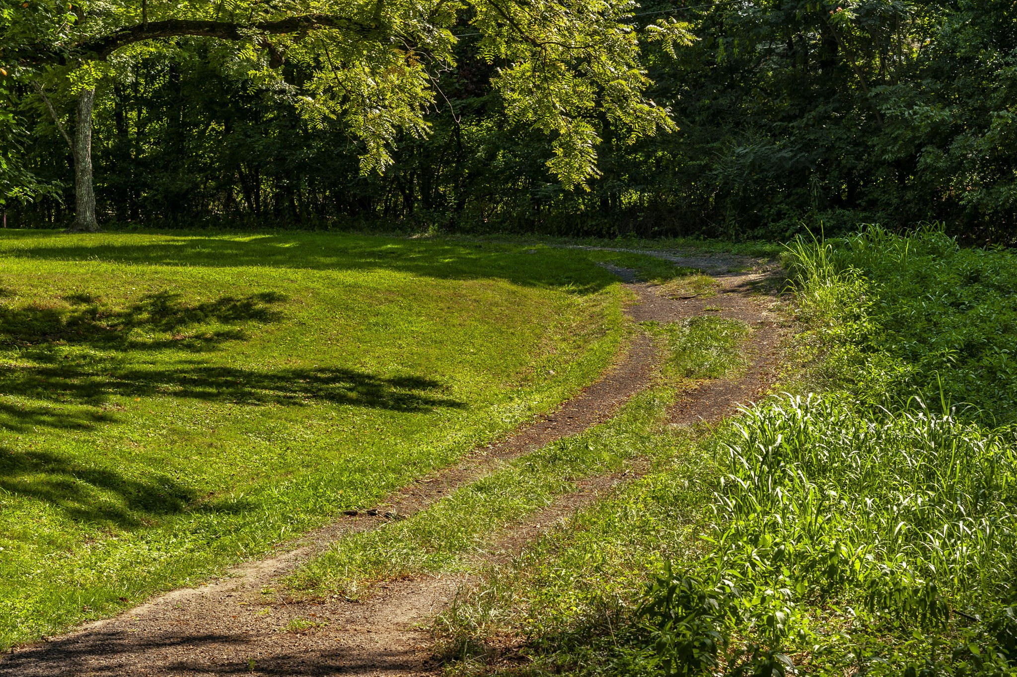132 Kinneys School Road Springfield, TN 37172 - Photo 20 of 58