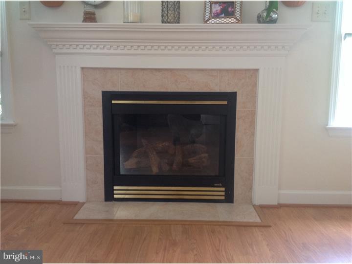3211 Nash Road Reading, PA 19608 - Photo 11 of 24 Fireplace