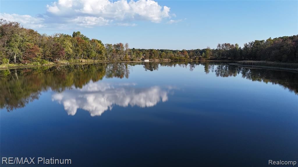 0 Chapman Road Stockbridge, MI 49285 - Photo 1 of 20