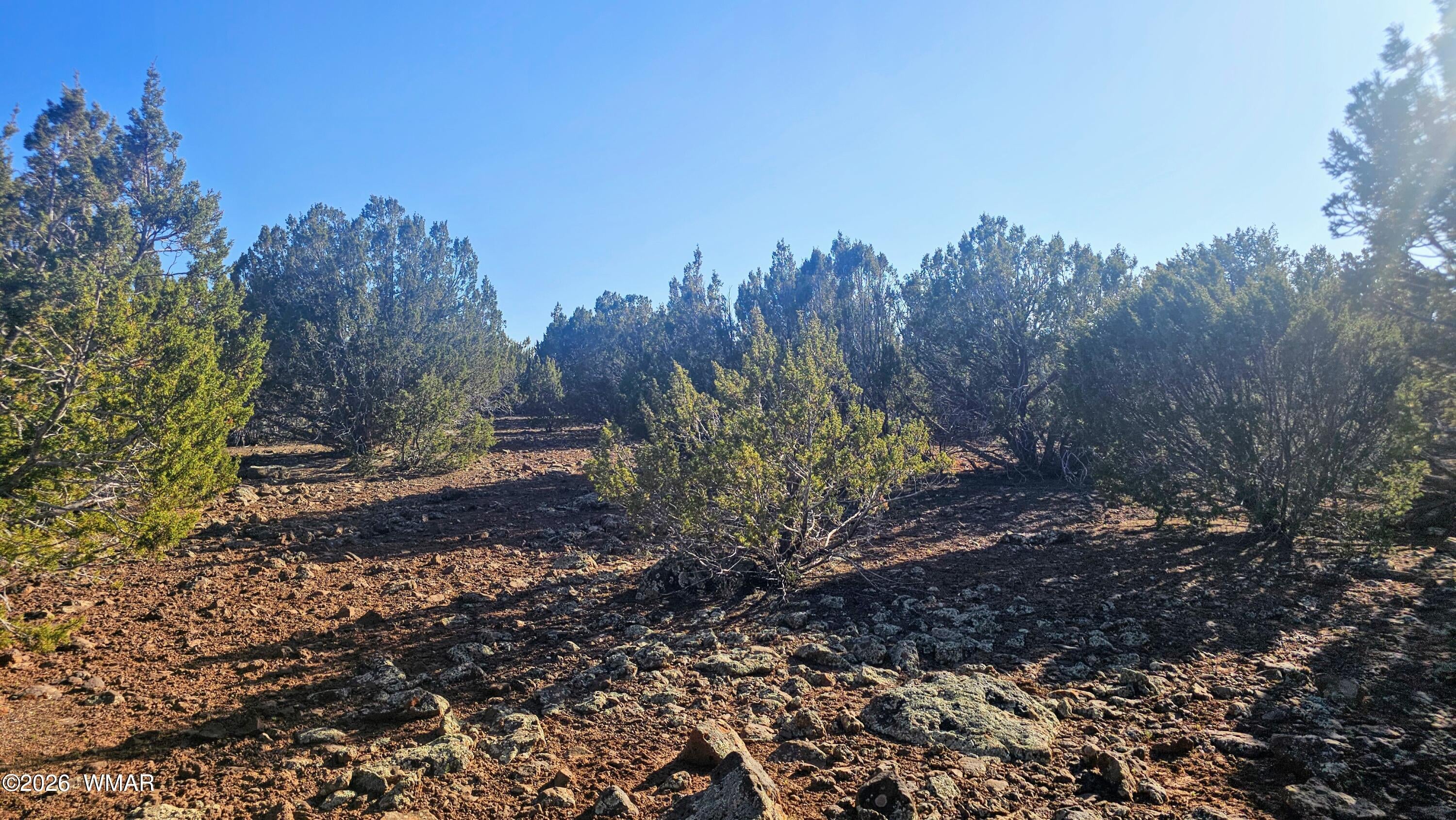 9383 Bald Eagle Road Show Low, AZ 85901 - Photo 15 of 29 Gallery Image 15