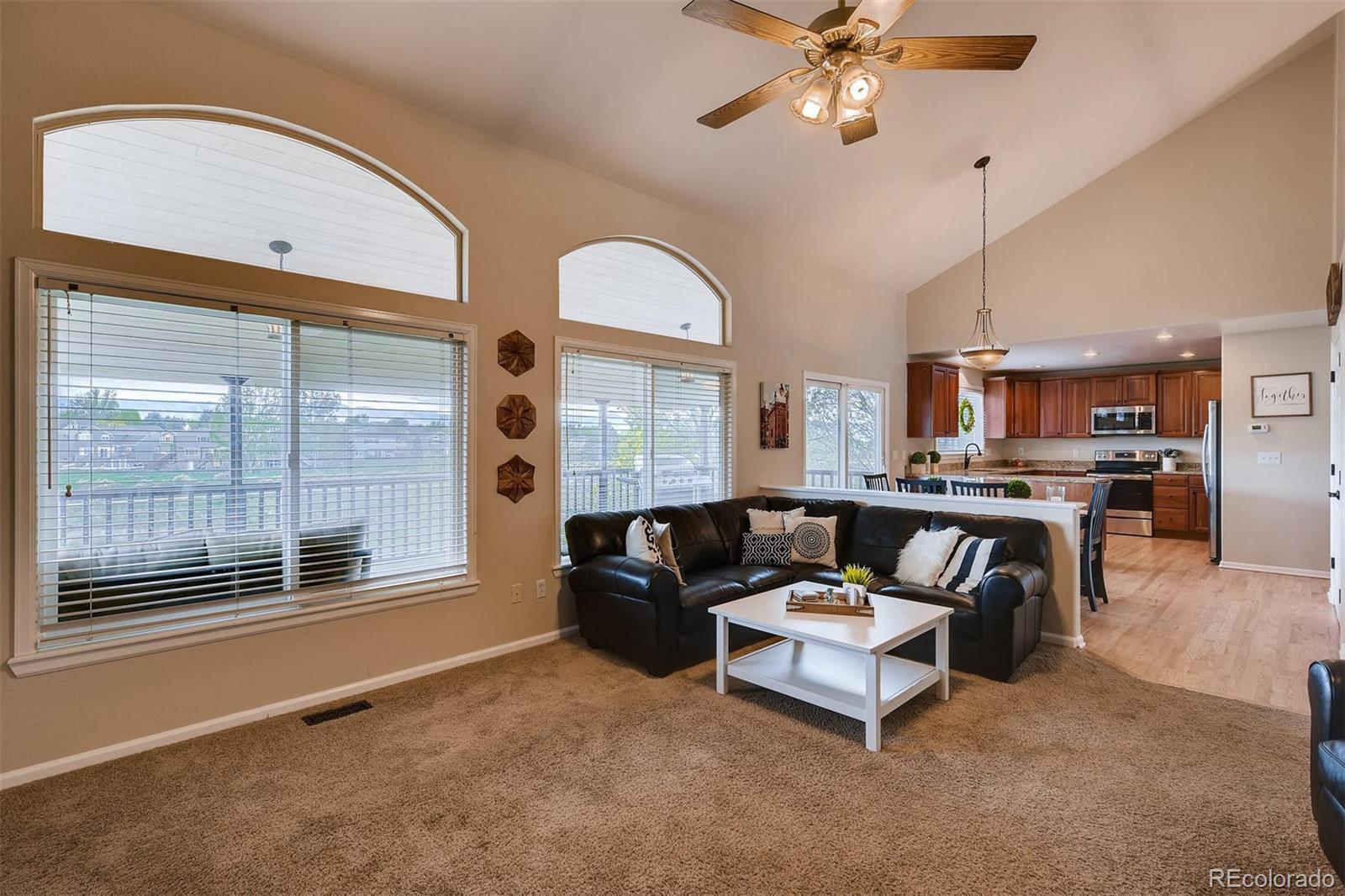 10117 Silver Maple Road Highlands Ranch, CO 80129 - Photo 11 of 29 Gallery Image 11