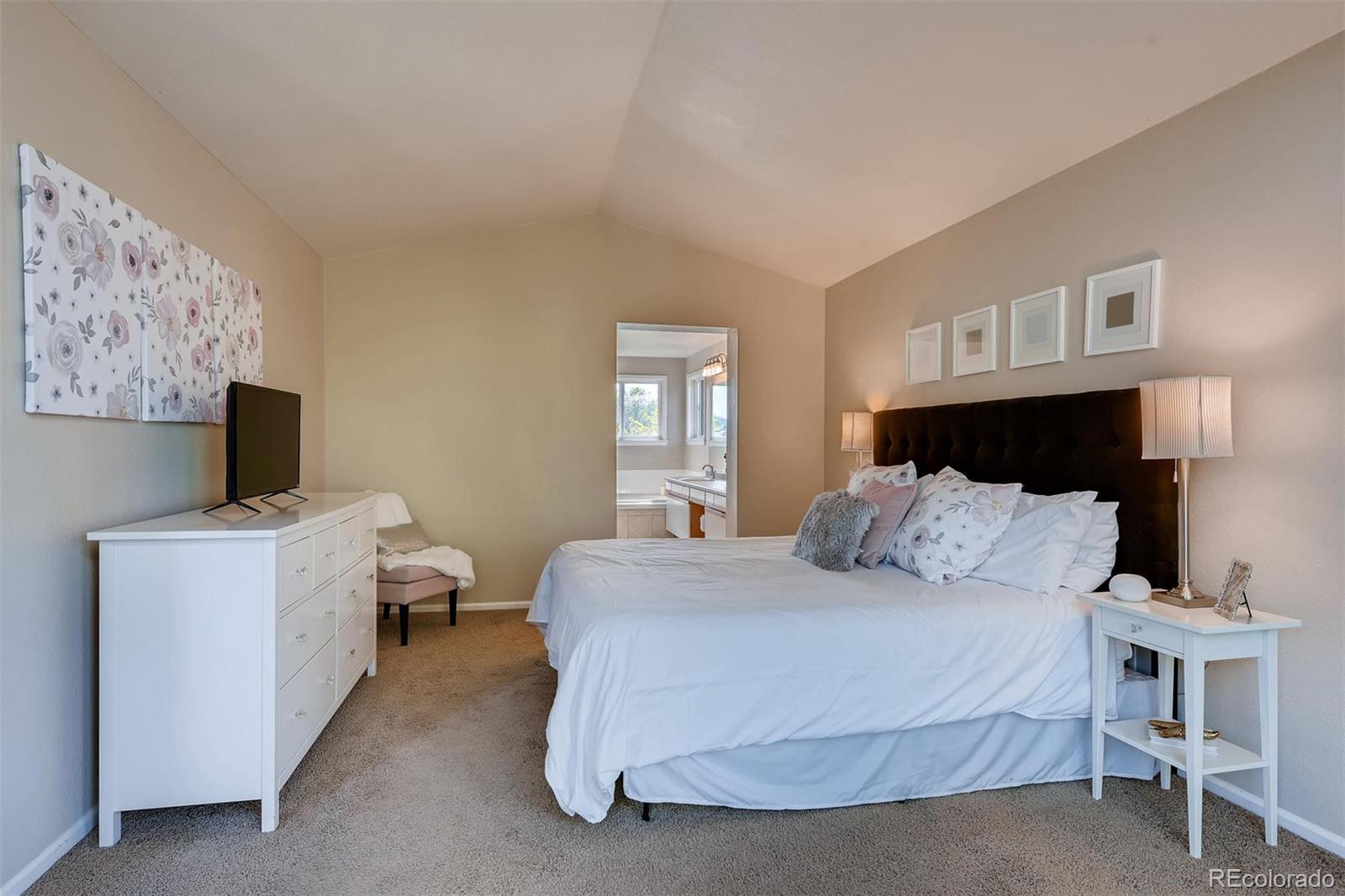 10117 Silver Maple Road Highlands Ranch, CO 80129 - Photo 15 of 29 Gallery Image 15