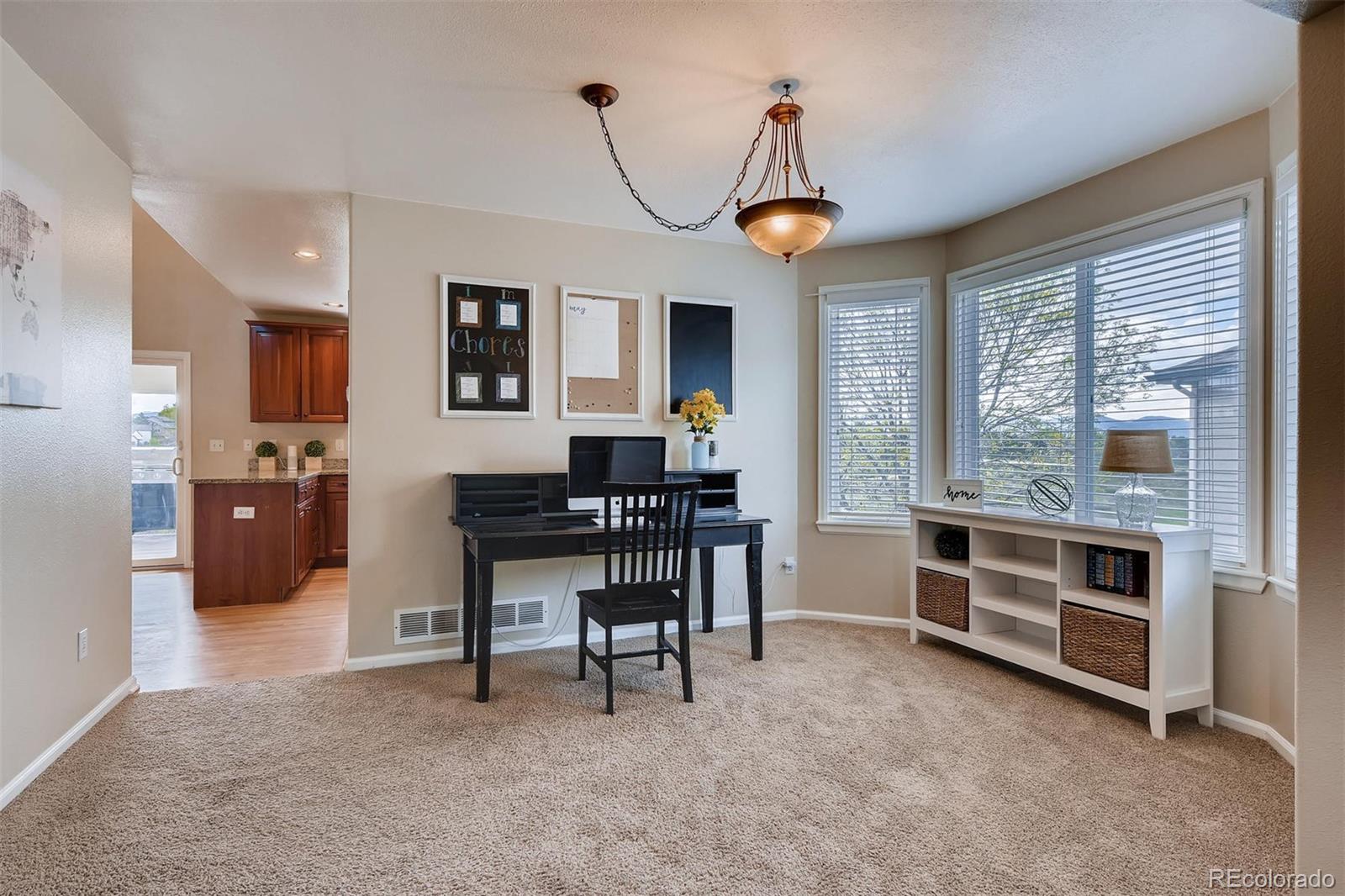 10117 Silver Maple Road Highlands Ranch, CO 80129 - Photo 4 of 29 Gallery Image 4