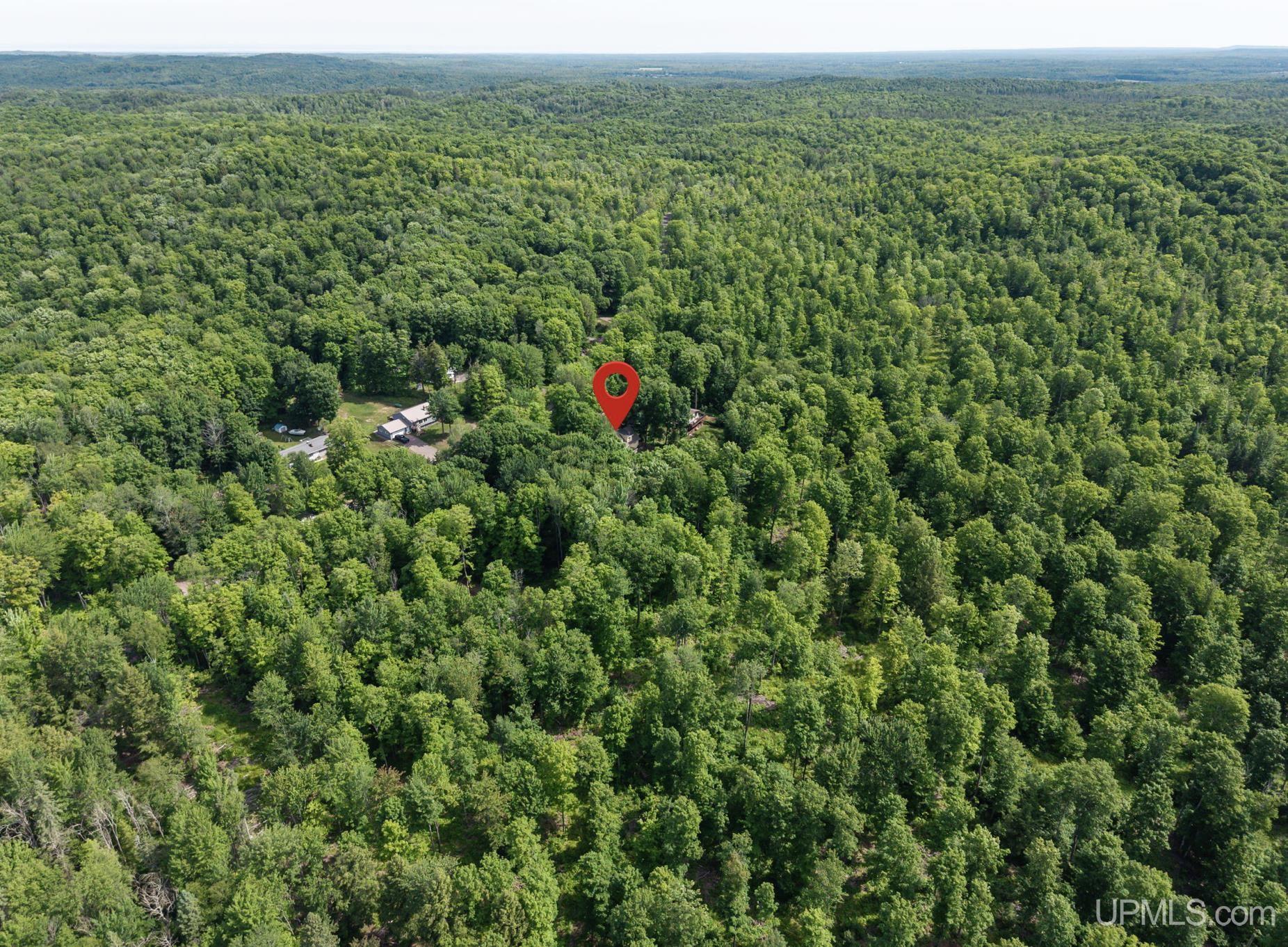 1658 Engman Lake Road Skandia, MI 49885 - Photo 44 of 50