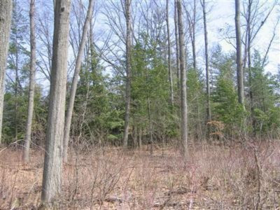 4447 Rabbit River Run, Unit 24 Hamilton, MI 49419 - Photo 3 of 6 Lot woods 9