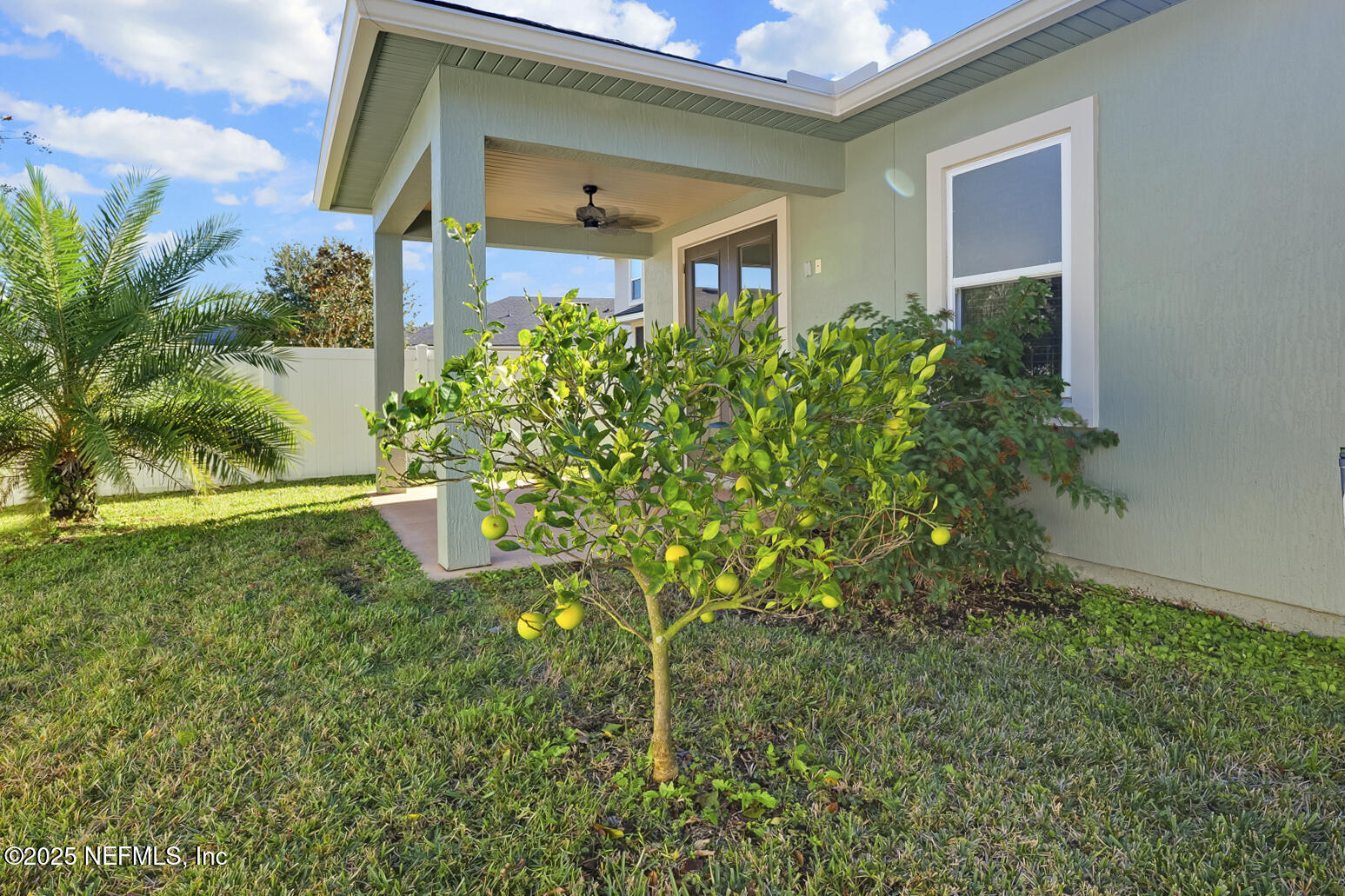 70 Quartz Place St. Augustine, FL 32086 - Photo 38 of 43 37 Backyard - Fruit Tree