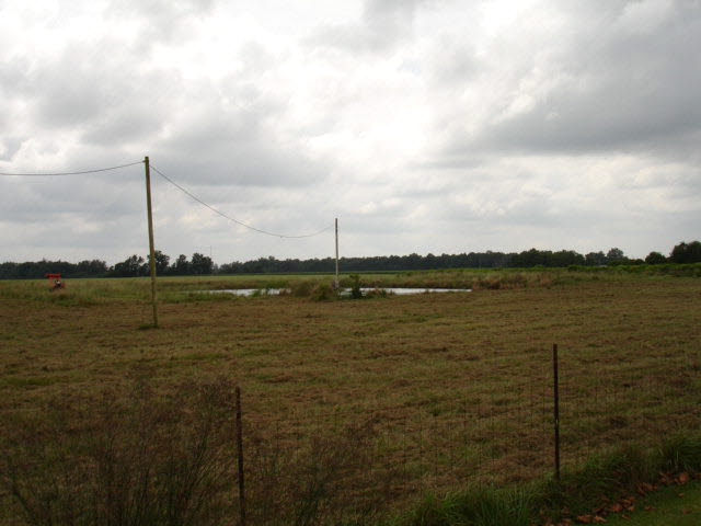 0 Homestead Lane Foley, AL 36535 - Photo 1 of 1