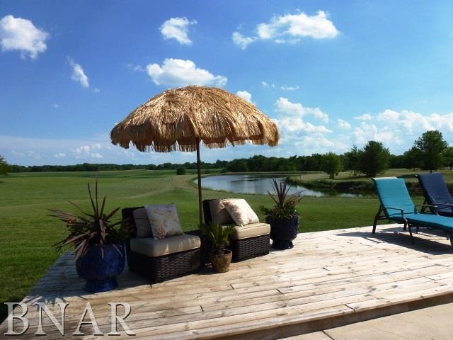 8192 Kleemann Road Clinton, IL 61727 - Photo 21 of 33