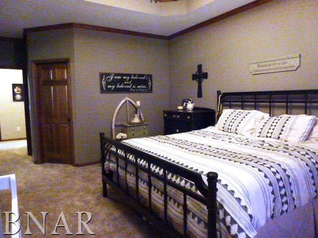 8192 Kleemann Road Clinton, IL 61727 - Photo 5 of 33