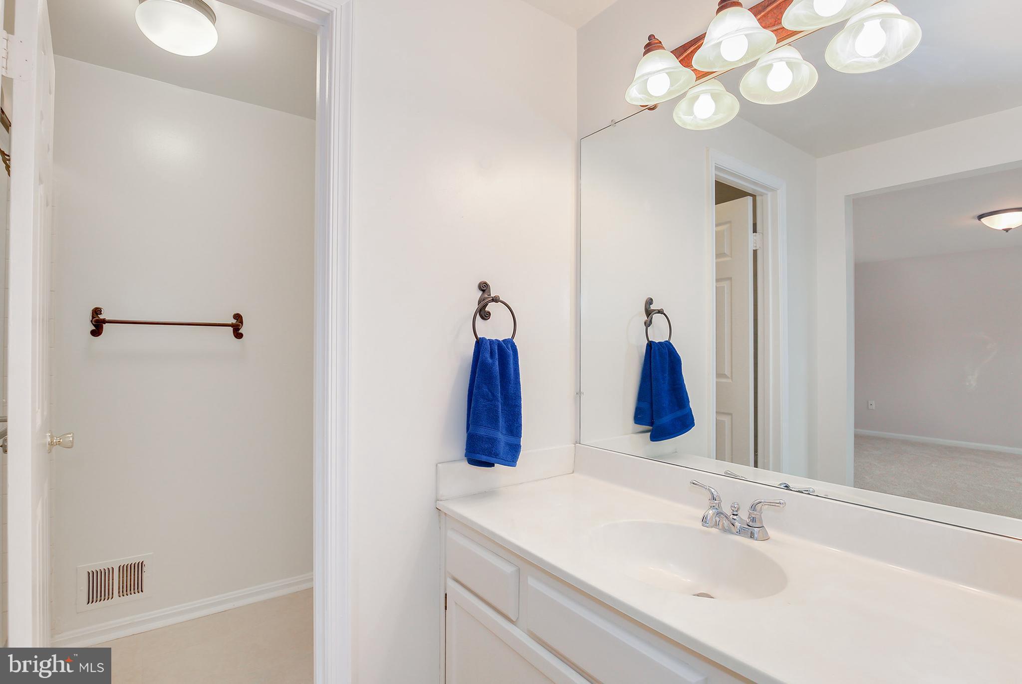 15008 Shamrock Ridge Road Silver Spring, MD 20906 - Photo 21 of 28 Bath (Master)