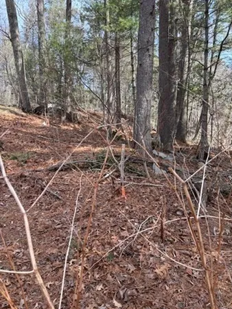 $100,000 | 0 Penopscot Street, Stoughton, MA 02072