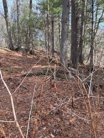 $100,000 | 0 Penopscot Street, Stoughton, MA 02072